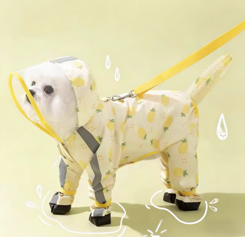 Dog Raincoat