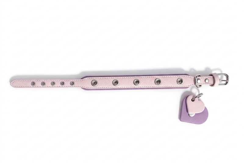 Adjustable DIY Pet Collar