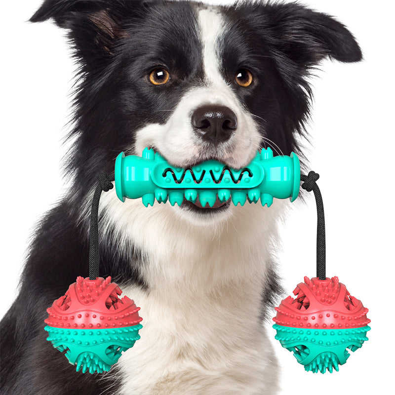 Pet Dog Molar Chew Toy Rubber Bone Strap Rope Interactive Toy Cleaning Toothbrush Dog Accessories