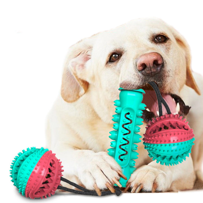 Pet Dog Molar Chew Toy Rubber Bone Strap Rope Interactive Toy Cleaning Toothbrush Dog Accessories