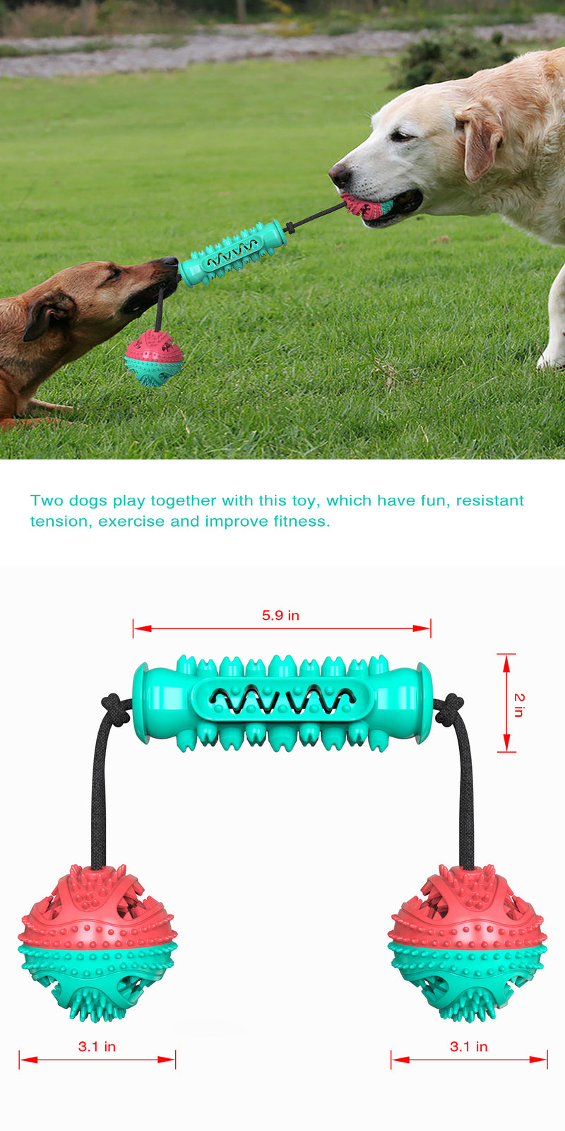 Pet Dog Molar Chew Toy Rubber Bone Strap Rope Interactive Toy Cleaning Toothbrush Dog Accessories