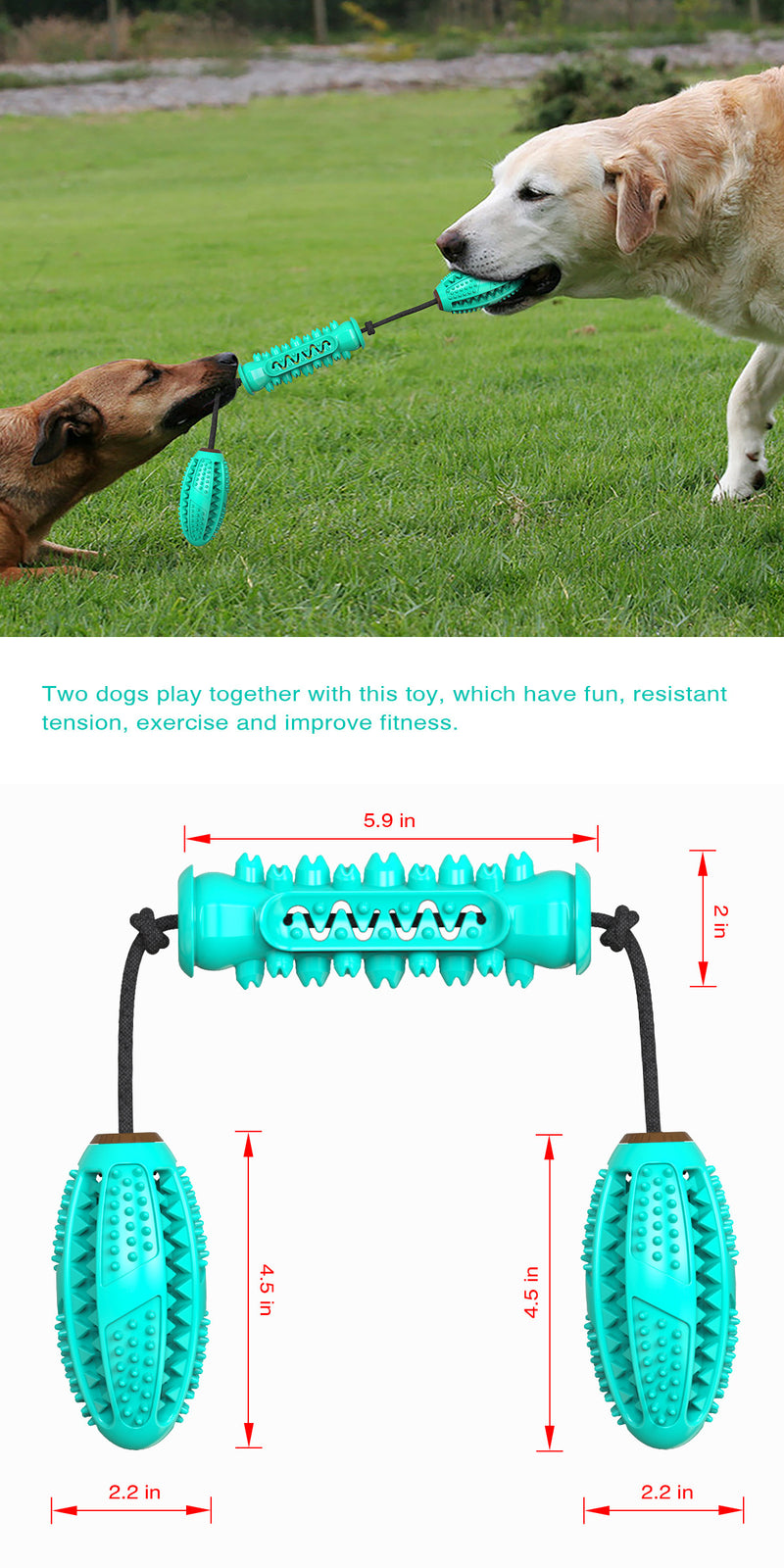 Pet Dog Chew Toy Puppy Dumbbell Molar Toy Clean Teeth Dog Ball Pet Play Funny Supplies